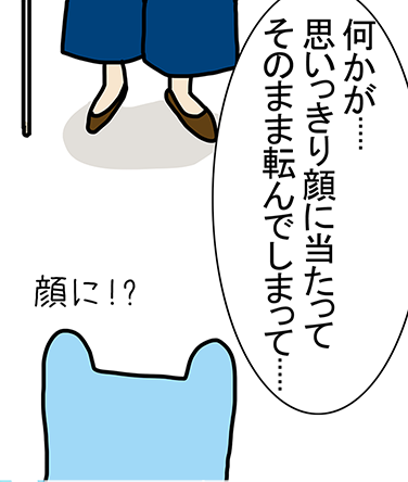 「何かが.....思いっきり顔に当たってそのまま転んでしまって.....」「顔に！?」