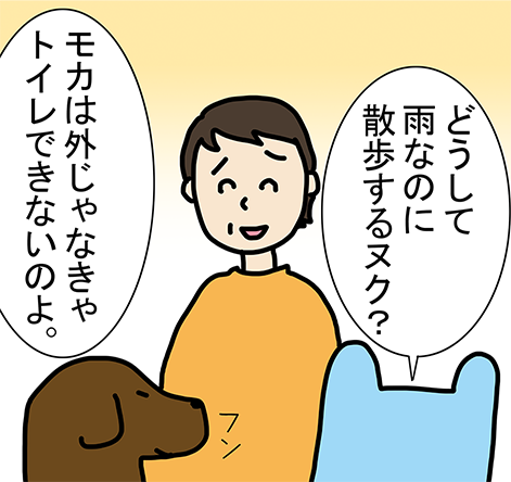 「どうして雨なのに散歩するヌク?」「モカは外じゃなきゃトイレできないのよ。」