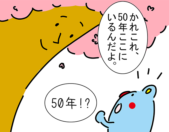 「かれこれ、50年ここにいるんだよ。」「50年！?」