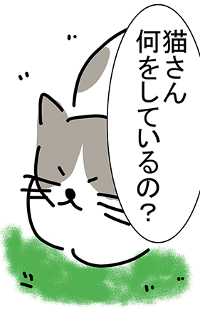 「猫さん何をしているの?」