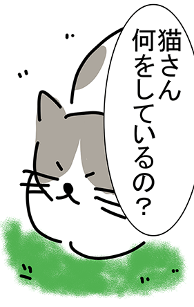 「猫さん何をしているの？」