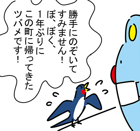 「勝手にのぞいてすみません！ぼ、ぼく、1年ぶりにこの町に帰ってきたツバメです！」