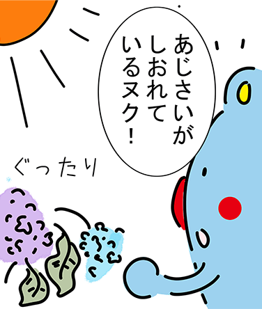 「あじさいがしおれているヌク！」ぐったり