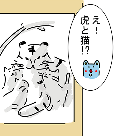 「え！虎と猫！?」