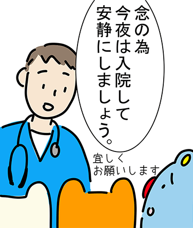 「念の為今夜は入院して安静にしましょう。」「宜しくお願いします」