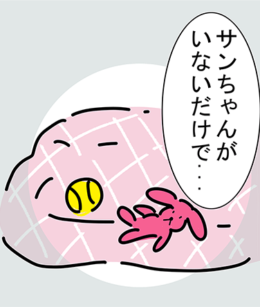 「サンちゃんがいないだけで...」