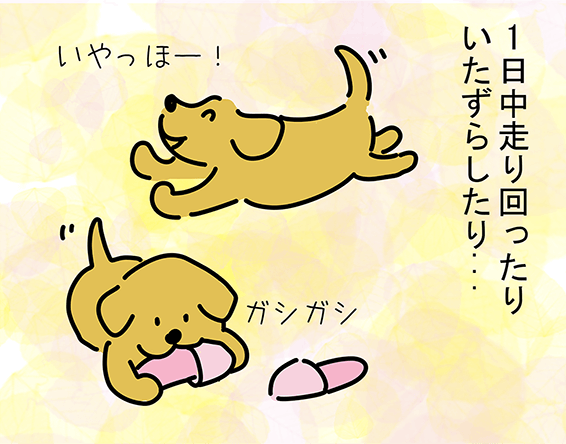 「1日中走り回ったりいたずらしたり...」“いやっほー!”“ガシガシ”