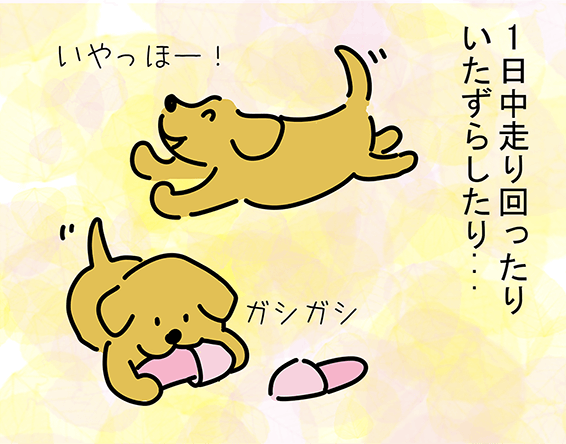 「1日中走り回ったりいたずらしたり...」“いやっほー！”“ガシガシ”