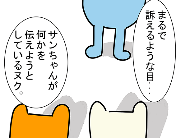 「まるで訴えるような目...」「サンちゃんが何かを伝えようとしているヌク。」