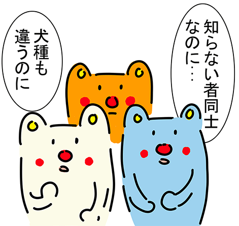 「知らない者同士なのに...」「犬種も違うのに」