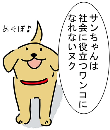 「サンちゃんは社会に役立つワンコになれないヌク」“あそぼ♪”