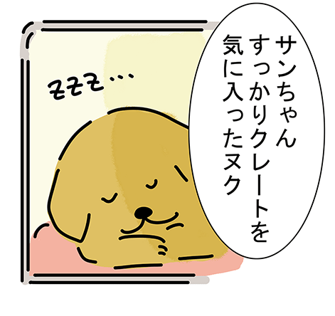 「サンちゃんすっかりクレートを気に入ったヌク」「ZZZ...」